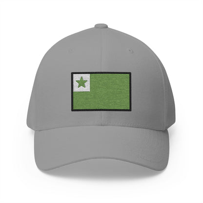 Esperanto Flag Emoji Grey Cap – Premium by Capmoji